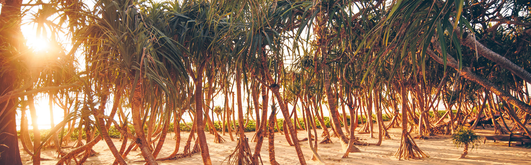 BabaBeachClub Hotel Phuket